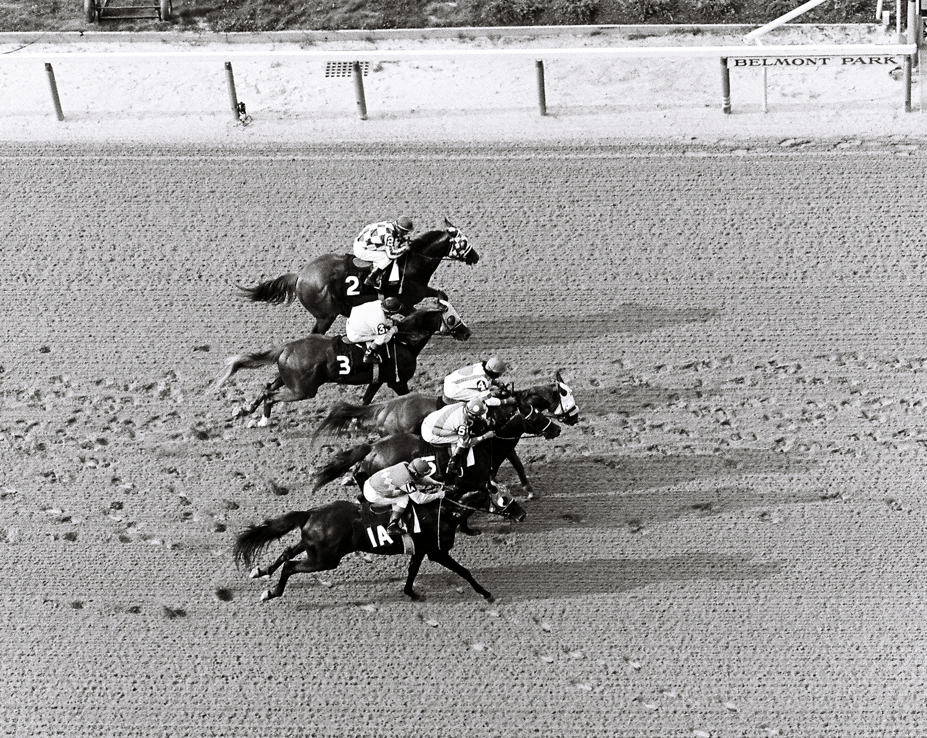Belmont Stakes