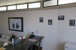 image4.jpeg