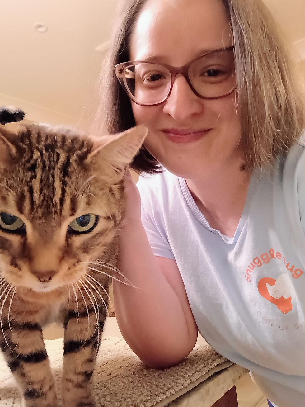 Looking for a Rover Alternative in Greensboro? Here's What to Know