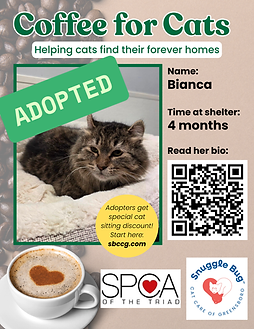 Snuggle Bug Cat Care Coffee for Cats flyer Bianca SPCA of the Triad