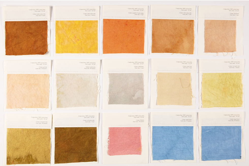 Natural Dye Swatches