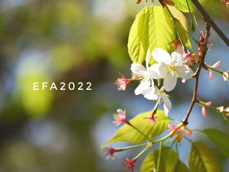 EFA2022をご支援くださりありがとうございます。