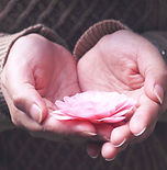 Pink flower in hands_edited_edited.jpg