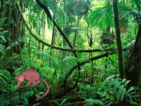 Jungle Learning