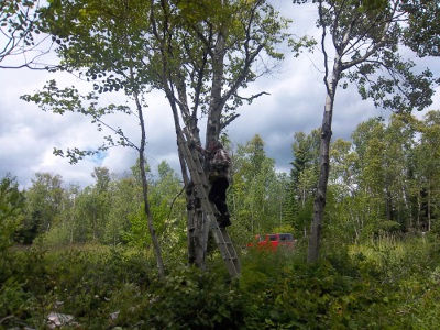 Croftville Road Cottages.
Since we had to clear the old driveway on the hill to make room for the equipment to get in to build the septic mound, we decided we would at the same time clear for our future signs. These road signs will give us direct exposure from Highway 61.
