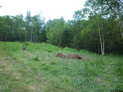 Croftville Road Cottages.
Once the location of the new septic mound has been designed, all the trees and brush must be removed, the remaining vegetation mowed, and the organic matter raked and removed. Our area measures about 140ft by 80ft.