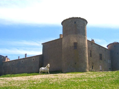 Le Château de Comps 