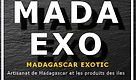LOGO EXO 2.jpg