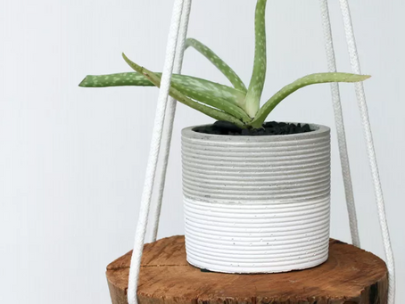 32 Free DIY Plant Hangers You Can Make