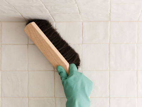 How To Get Rid Of Mould On Ceiling?