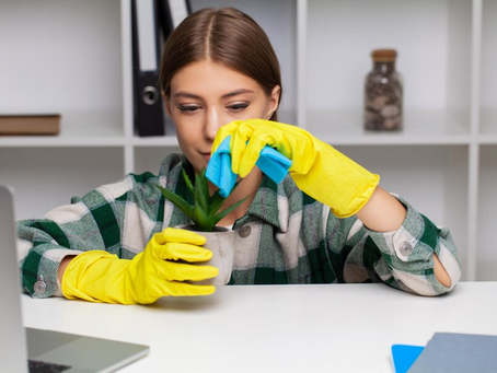 Preventing The Spread Of Germs: Essential Cleaning Tips
