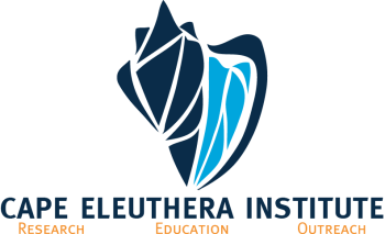 CAPE ELEUTHERA INSTITUTE