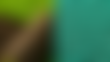 Sod Vs Hydroseed: What’s Best for Your Windsor–Essex Lawn?”