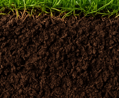 Your paragraph text (1100 x 1200 px) (3).png