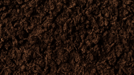 The Importance of Soil Preparation for a Successful Lawn