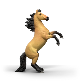 SC14921_1.png