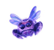 Just Kidding fly Image