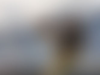 The Magnificent Bald Eagle...Truly Majestic In Flight.