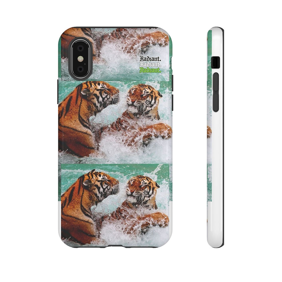 Thumbnail: Radiant. Partners Tough Cases