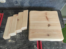 מאחורי הקלעים: כך נולד שרפרף עץ לעציץ