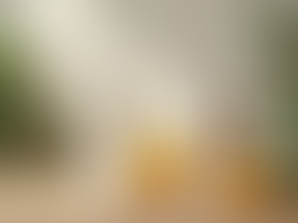 Discover the Organic Skincare Benefits That Will Transform Your Routine