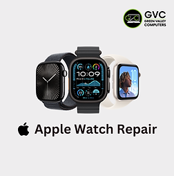 apple watch service