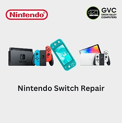 nintendo switch service