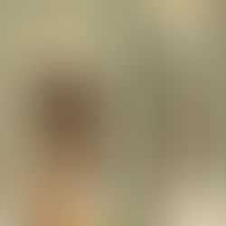 Bulletin: Third Sunday of Advent [Gaudete Sunday] A 2025