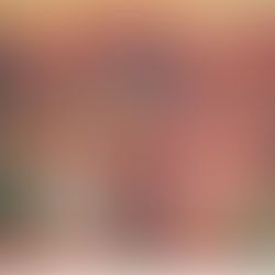 Bulletin: 29th Sunday in Ordinary Time C 2025