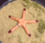 2025-10-01 15.50_edited