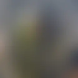 Fábrica de energéticos em Salvador é flagrada com 'gato' que abasteceria mais de 3 mil casas