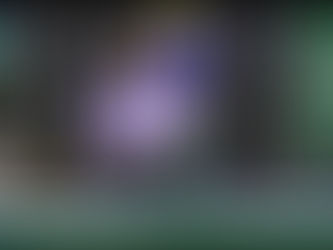 Deputada Rogéria Santos solicitou transparência de dados sobre violência contra a mulher no carnaval