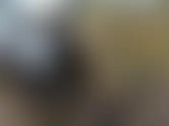 Casal morre e picape fica totalmente destruída em grave acidente na BA