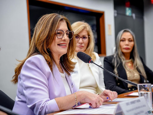 Deputada Rogéria propõe criação de programa de acolhimento para idosos em situação de vulnerabilidade