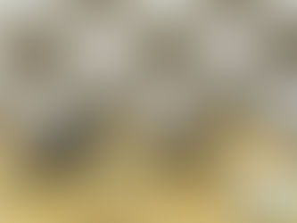 15° Batalhão apreende arma e drogas em Itabuna