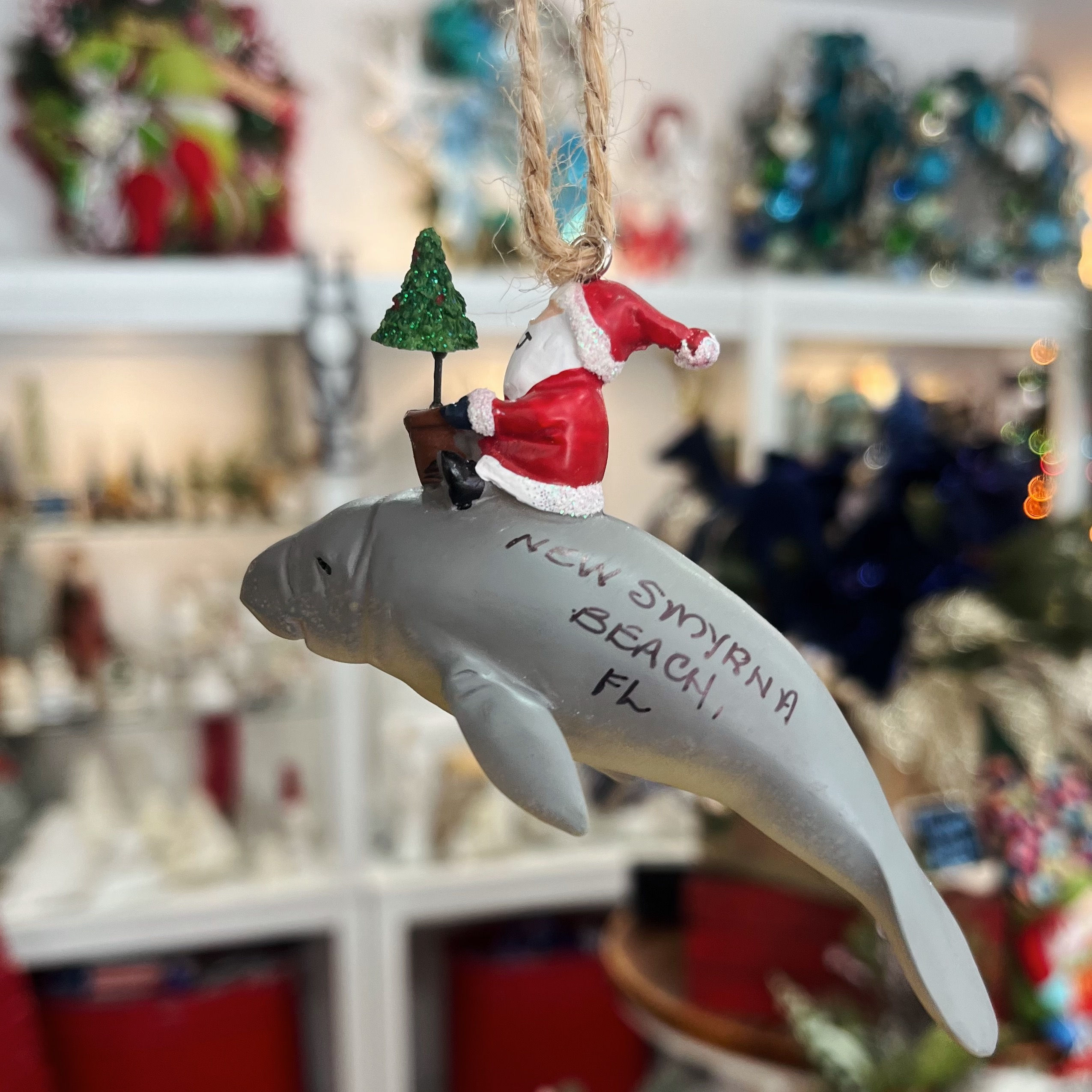 Santa on a Manatee - NSB
