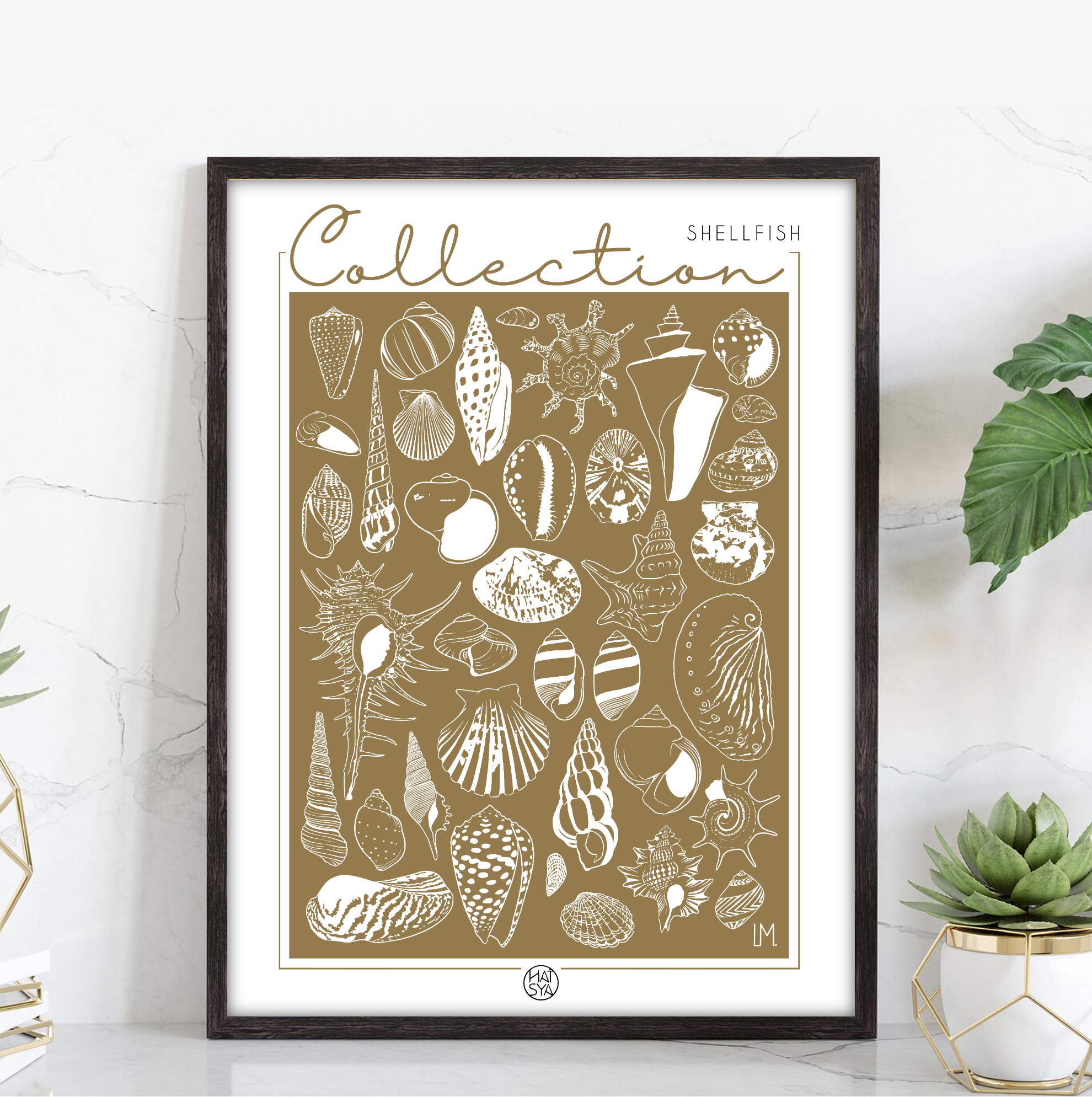 Collection - Shellfish