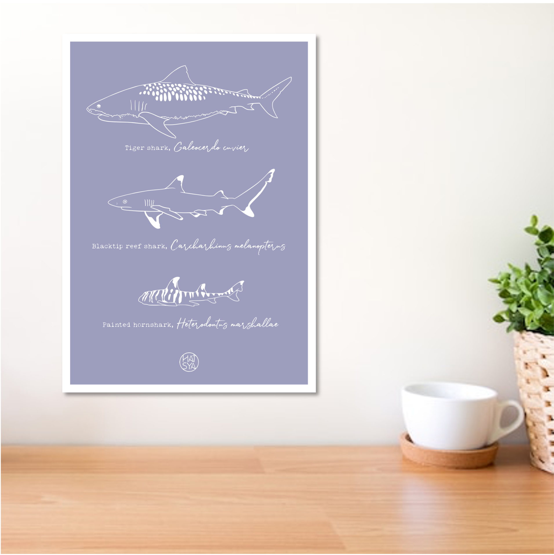Species - Shark
