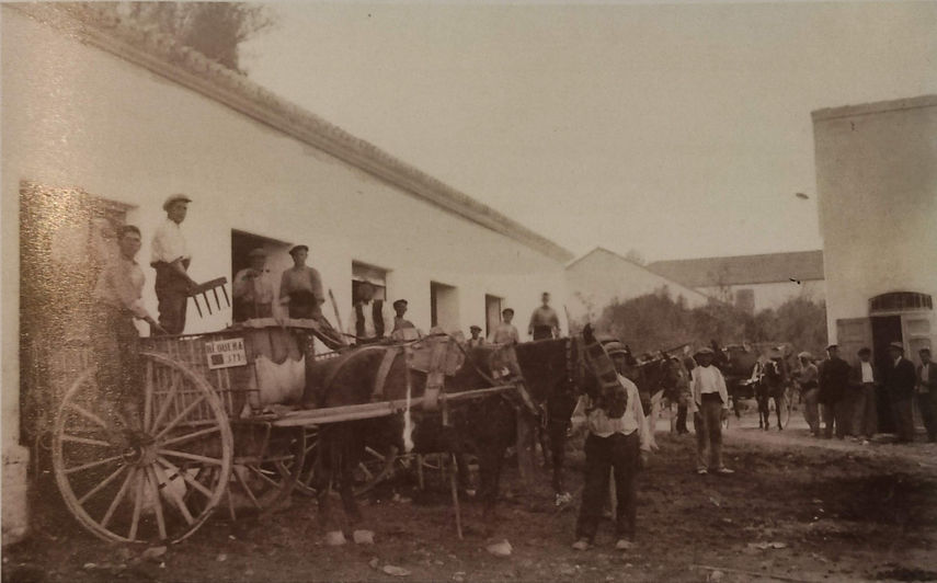 Bodegas Schenk en Requena