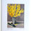 Thumbnail: Signs of Spring - Print