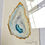 Thumbnail: Oyster