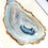 Thumbnail: Oyster