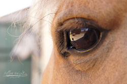 Regard sur le monde