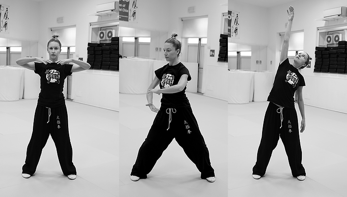 qigong_novo.png