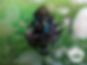 thumbnail.jpg