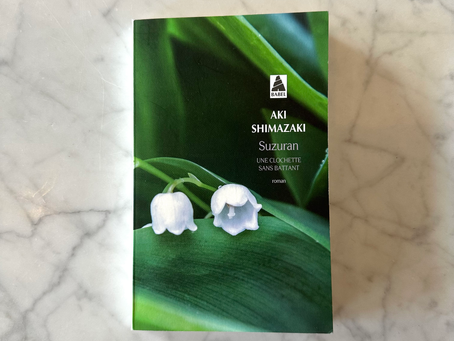 Le premier roman que j'ai lu en français