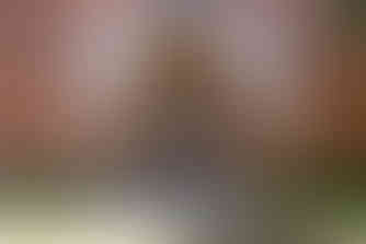 Stralsund | Hansestadt | Camping | Altefähr | Deutschland | Ostsee