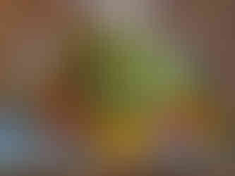 Schwerin | Deutschland | Camping | Schwerinersee | Brandenburg |