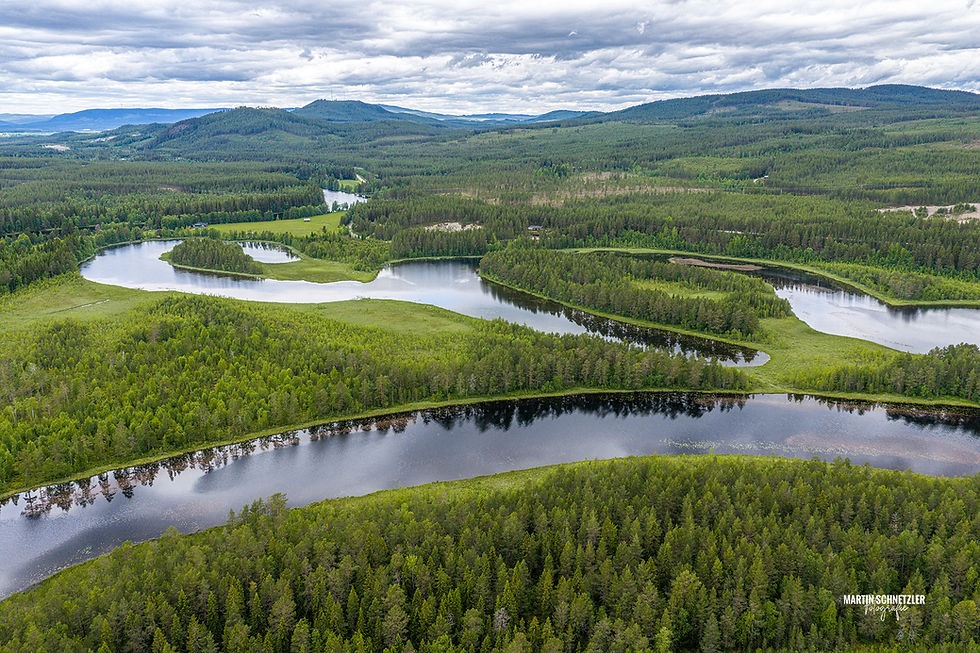 Aerial view of curved lakes in the green woodland under a cloudy sky in Sweden.