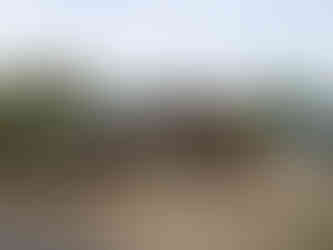 Rheingaucamping | Rüdesheim | Rheingau | Camping | Rhein